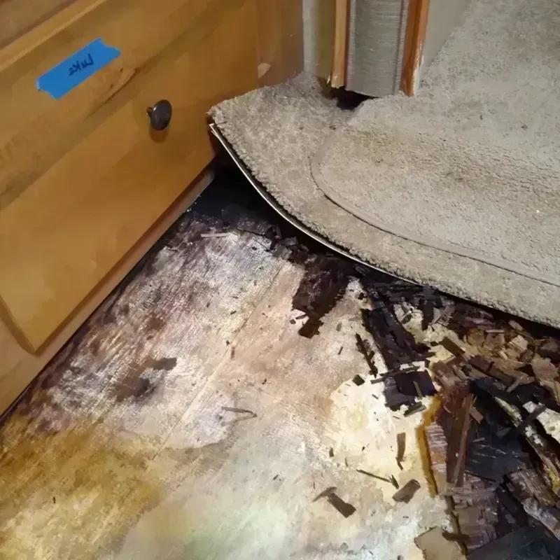 Wood Floor Water Damage in Hobart, WI